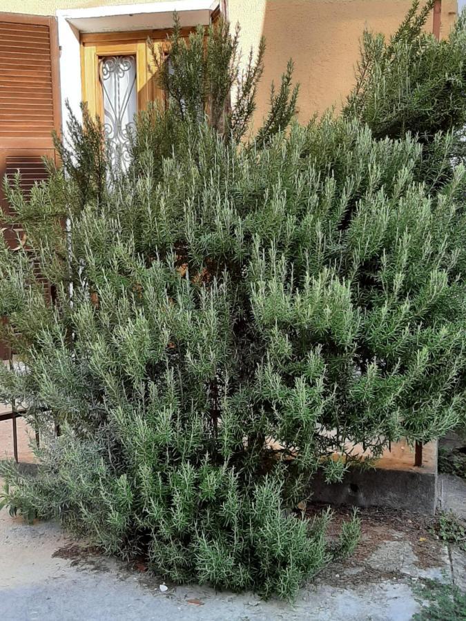 הוילה Fresonara  Il Rosmarino מראה חיצוני תמונה
